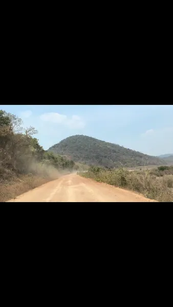 Rupununi Rodeo
