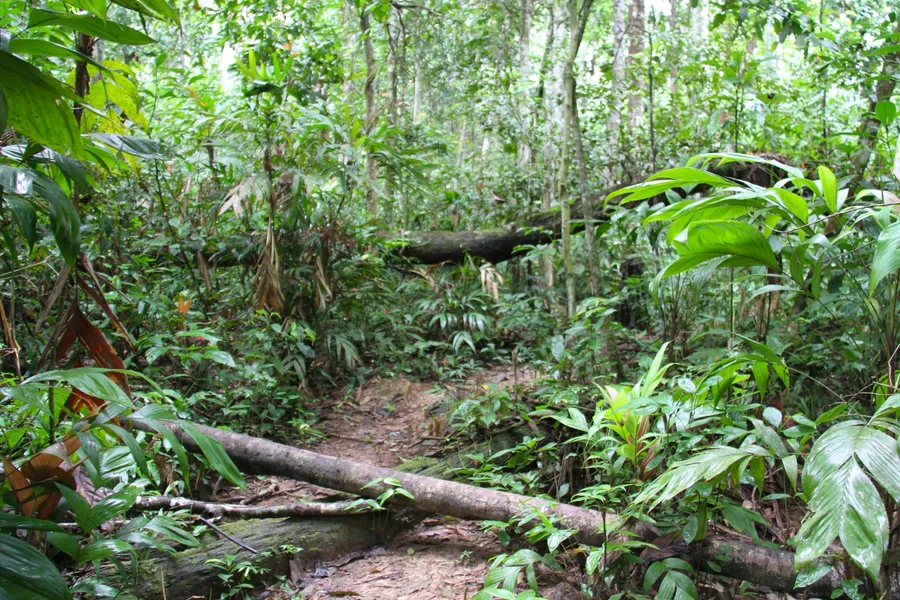 Rurrenabaque