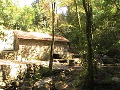 Ruta da Auga