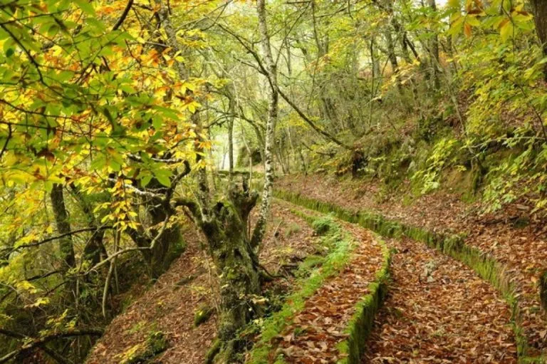Ruta de los Monjes (Hiking Route)