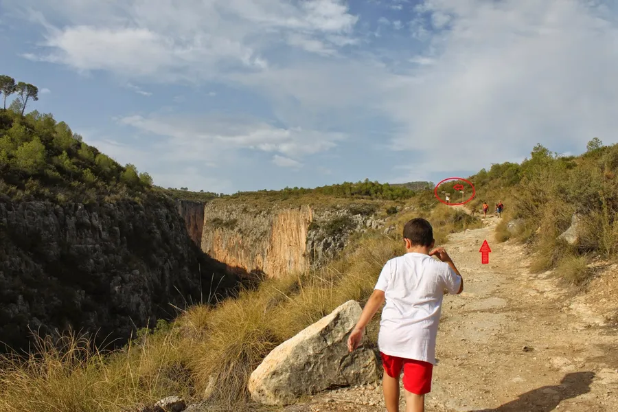 Ruta de los Puentes Colgantes