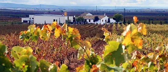 Ruta del Vino Utiel-Requena