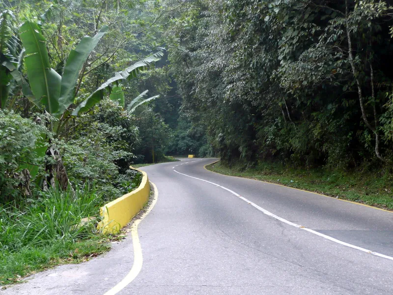 Ruta del cacao