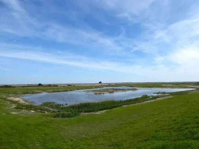 Rye Harbour Nature Reserve