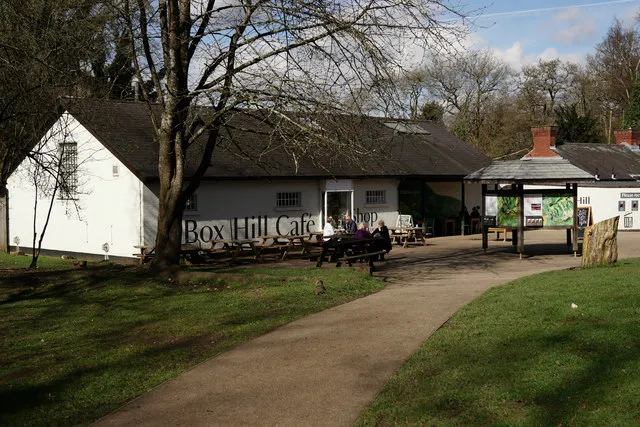 Ryka's Cafe