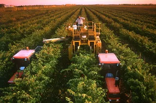 Rymill Coonawarra