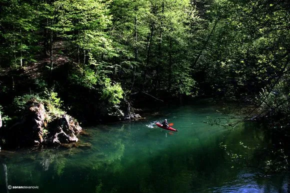Rzav River