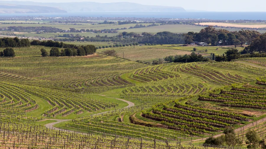 S.C. Pannell Wines