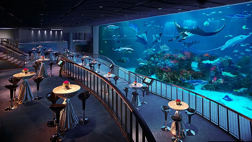 S.E.A Aquarium