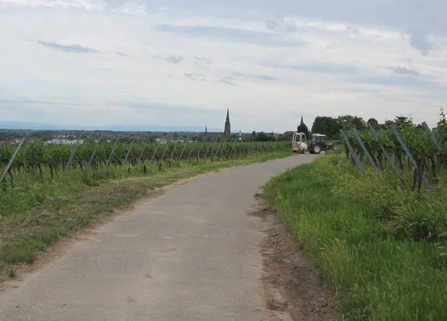 Saale-Radweg