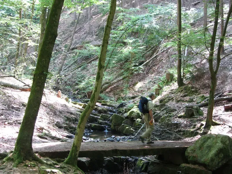Saar-Hunsrück-Steig (Hiking Trail)