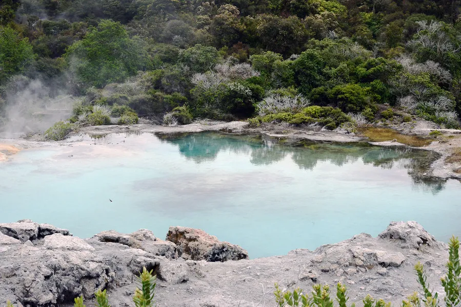 Sabeto Hot Springs and Mud Pool