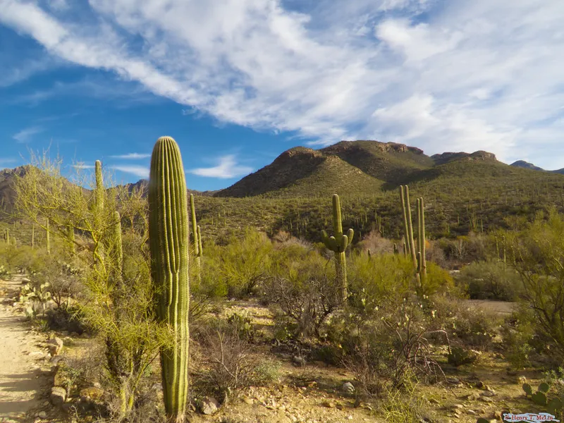 Sabino Canyon