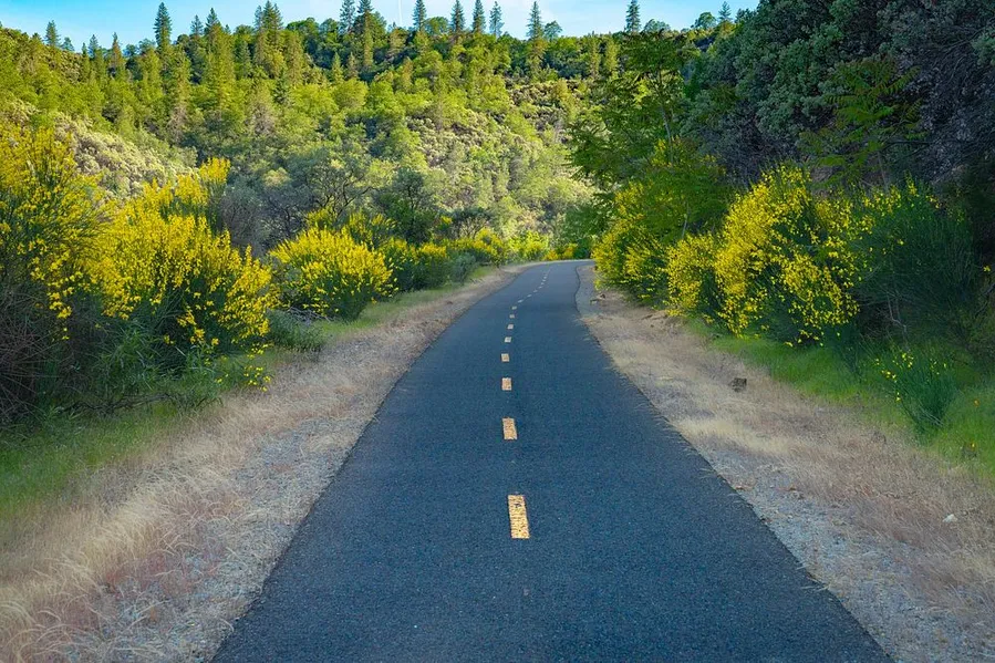 Sacramento River Rail Trail