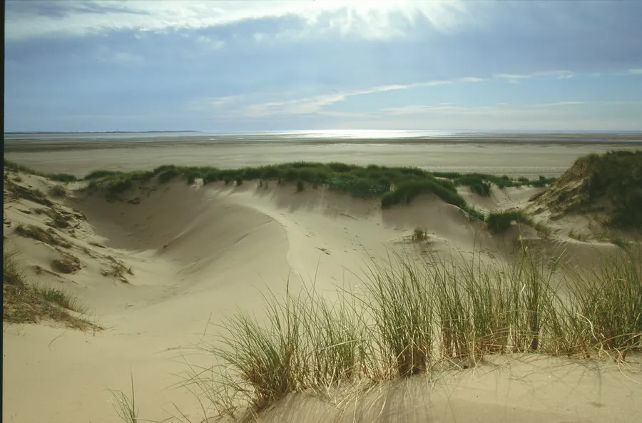 Sado Estuary Natural Reserve