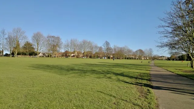 Saffron Walden Common