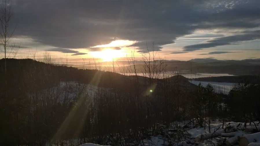 Sagesund