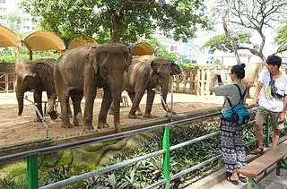 Saigon Zoo and Botanical Gardens