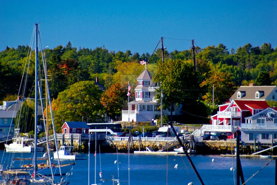 Sailing and Whale Watching Trips