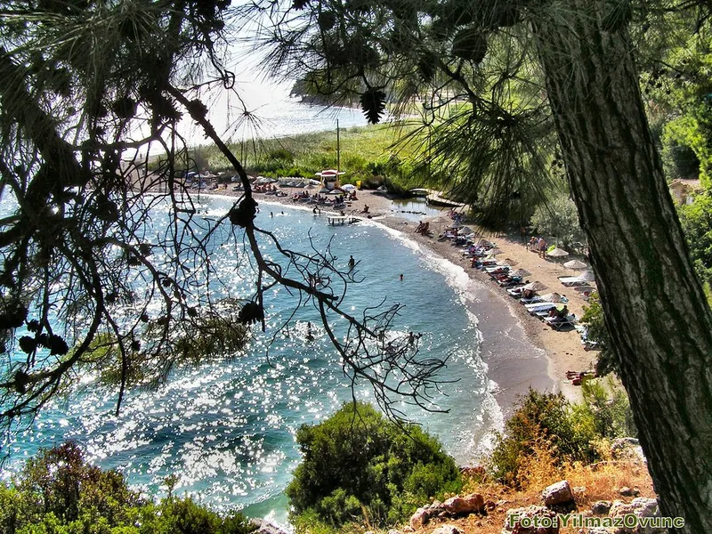 Sakartepe Viewing Point