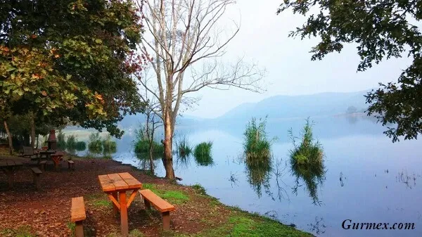 Sakarya Il Ormani Tabiat Parki