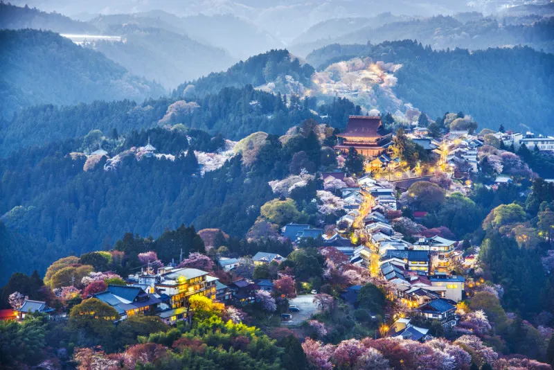 Sakura Motomiya Shrine