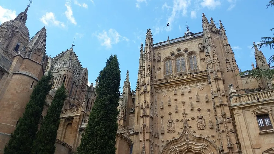 Salamanca Cathedral