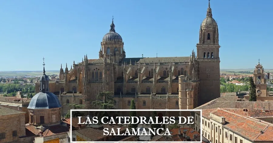 Salamanca Cathedral (New Cathedral & Old Cathedral)