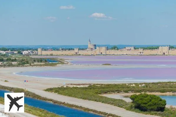 Salins du Midi