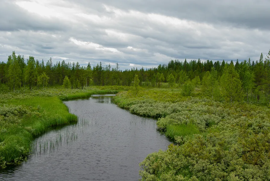 Salonjoki River