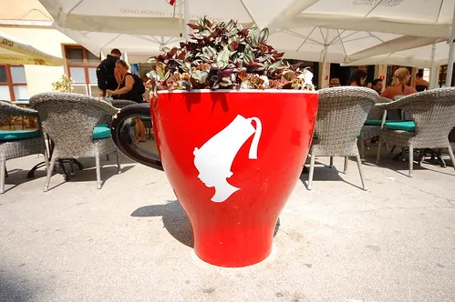 Salsa Festival