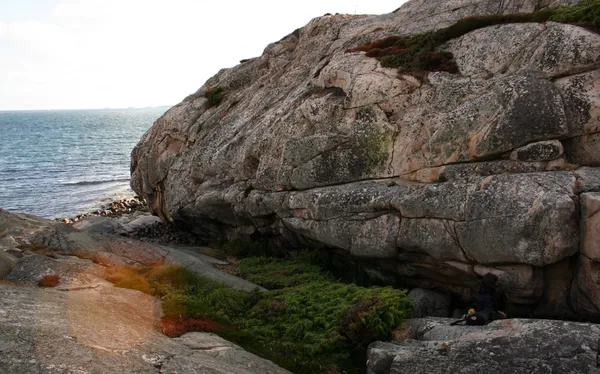 Saltö Nature Reserve