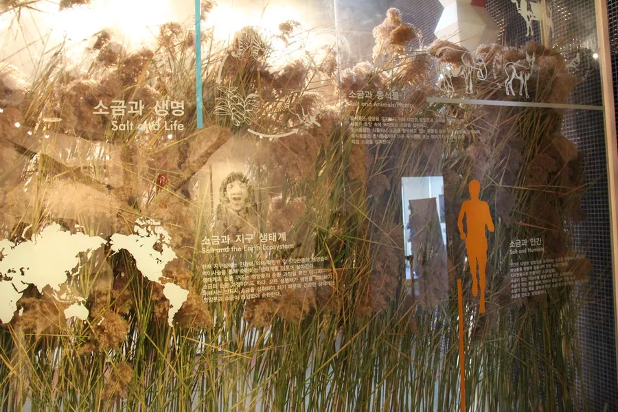 Salt Museum