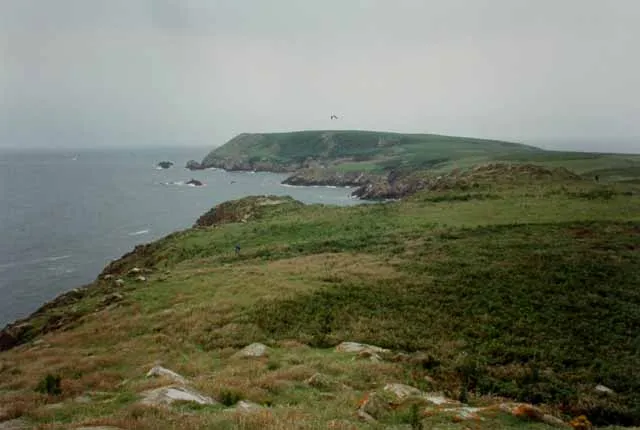 Saltee Islands
