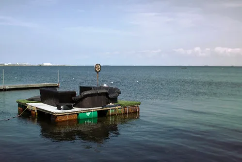 Saltholm Island (boat trip)