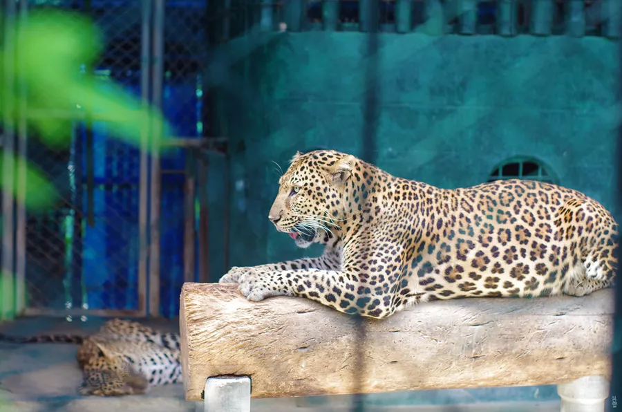 Samui Aquarium and Tiger Zoo