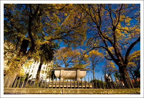 San Carlos Garden