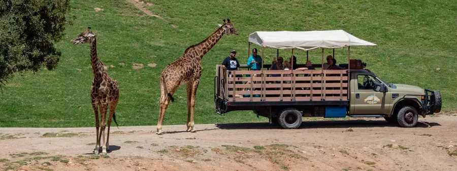 San Diego Zoo Safari Park
