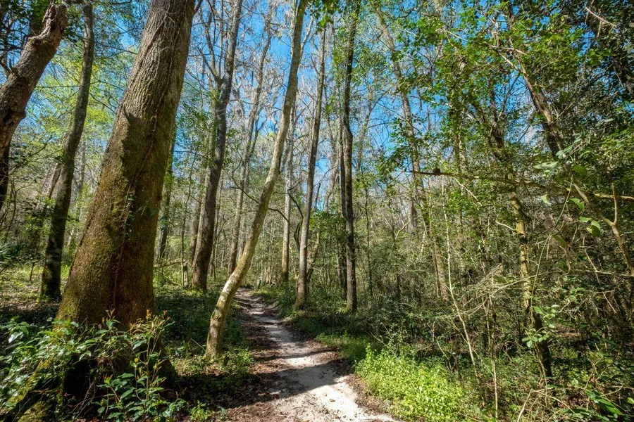 San Felasco Hammock Preserve State Park