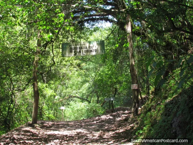San Lorenzo Ravine