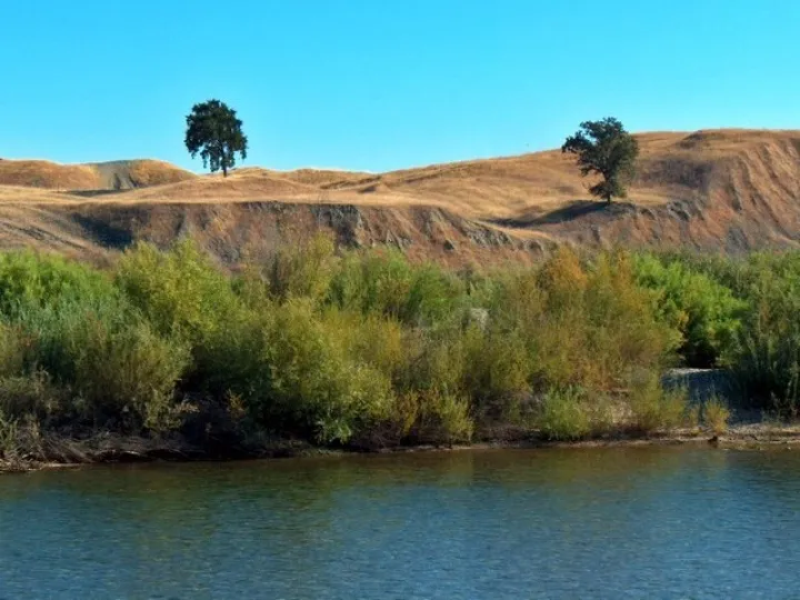 San Pedro Riparian National Conservation Area