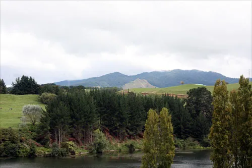 Sanctuary Mountain Maungatautari