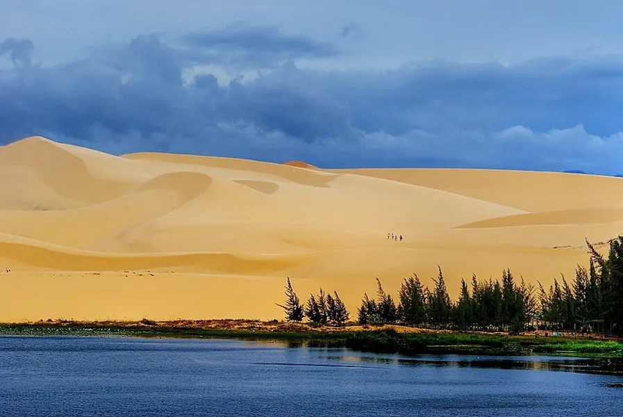 Sand Dunes