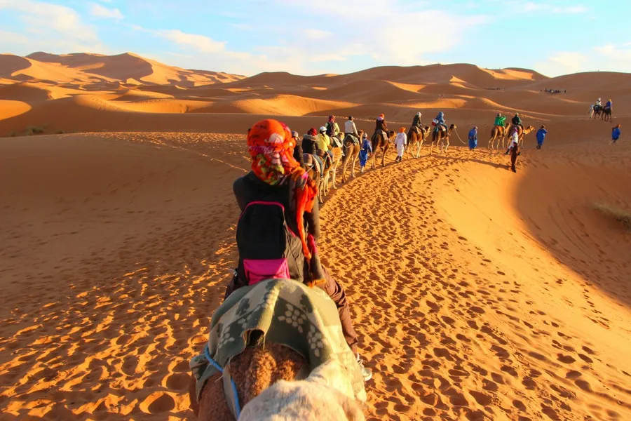 Sandboarding in the Dunes