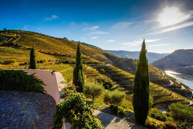 Sandeman Quinta do Seixo