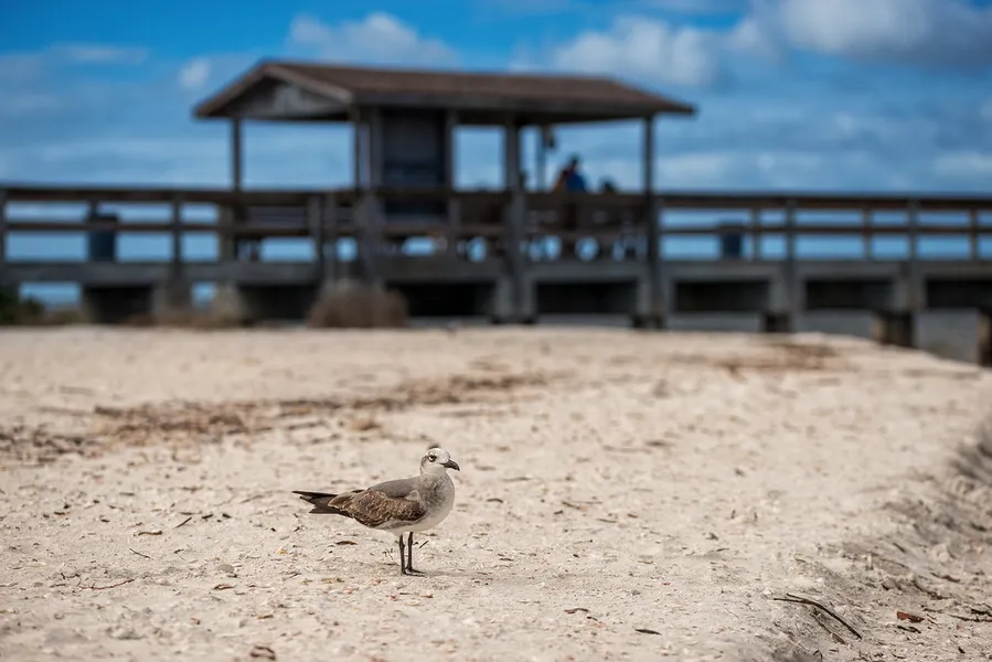 Sanibel Island