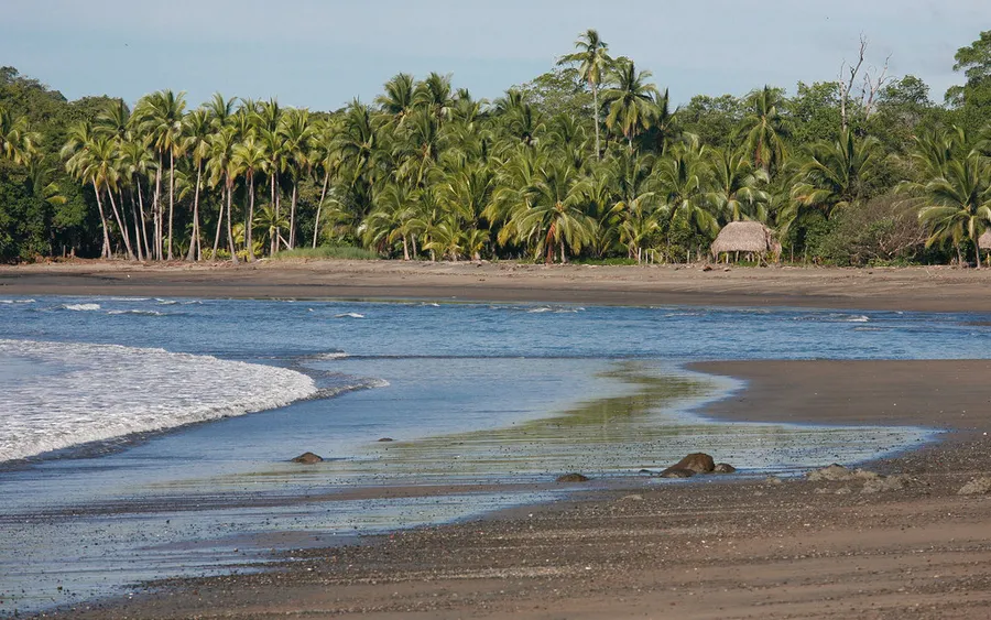 Santa Catalina Beach