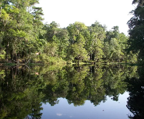 Santa Fe River