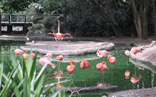Santa Fe Zoo