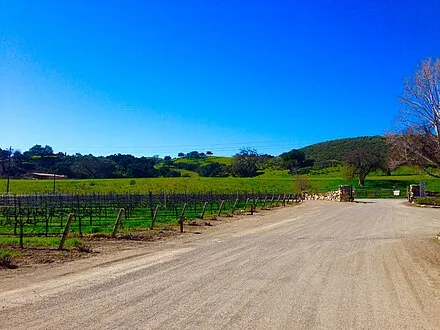 Santa Ynez Valley Wine Country
